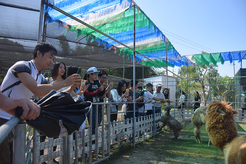 爱游戏官网园区党委举办了以“不忘初心·牢记使命”为主题的主题党日活动